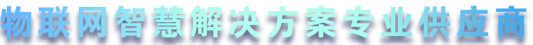 領航智能儀表 ? 構建智慧城市